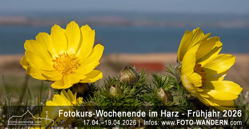 Fotoreise Harz - Frühjahr 2026 mit Foto-Wandern.com