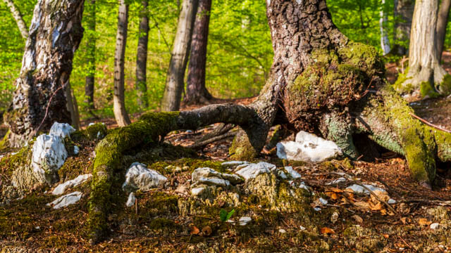 Fotoworkshop-Wochenende Mai 2026