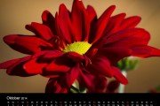 Kalender Flower-Power