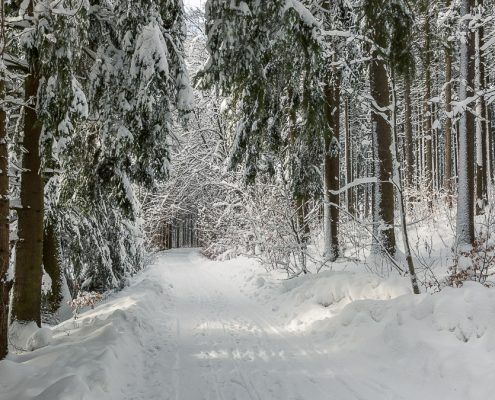 Winterwanderung Benneckenstein - Sorge