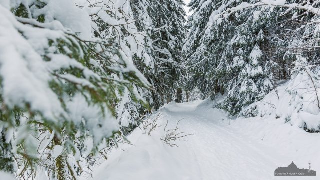 Winterwanderung Benneckenstein - Sorge