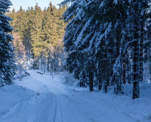 Winterwanderung Spielbachtal bei Königshütte im Harz