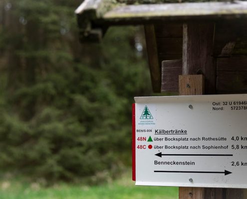 Fotowanderung Harzer Bachtäler - Benneckenstein