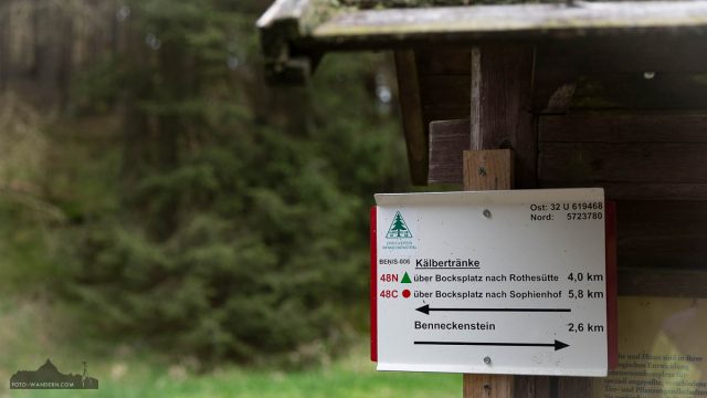 Fotowanderung Harzer Bachtäler - Benneckenstein