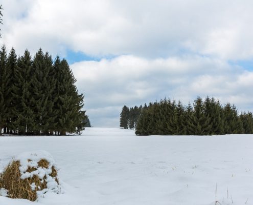 Winter-Rundwanderung Pfeiferberg bei Benneckenstein