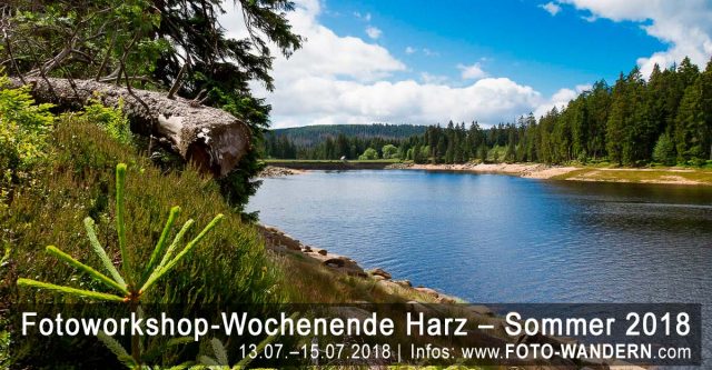Fotoworkshop-Wochenende-Harz - Sommer 2018