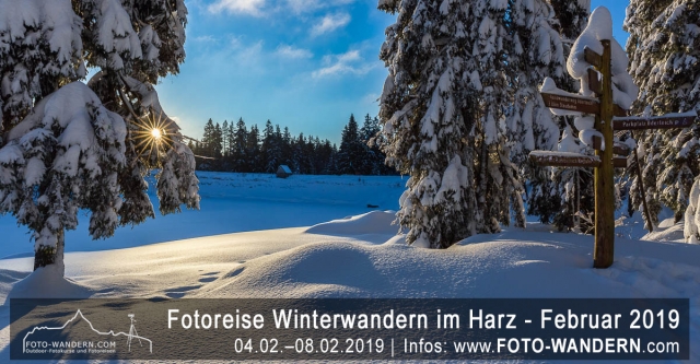 Fotoreise Winterwandern im Harz - Februar 2019