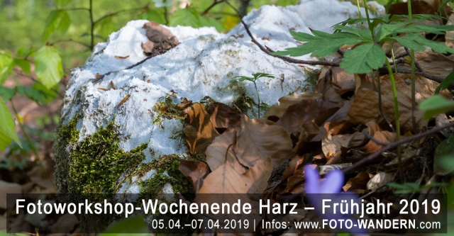 Fotoworkshop-Wochenende-Harz - Frühjahr 2019 - Karst