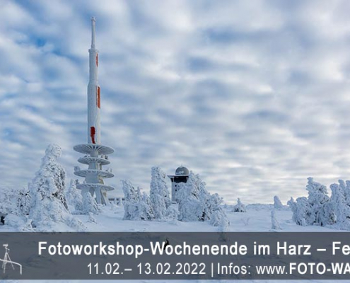Winter-Fotoreise Harz - Februar 2022