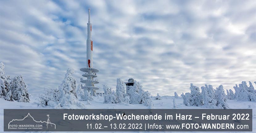 Winter-Fotoreise Harz - Februar 2022
