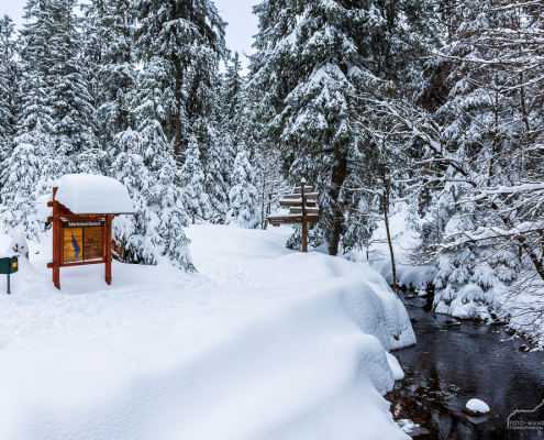 Fotowanderungen im Winter und Winter-Fotokurse im Harz