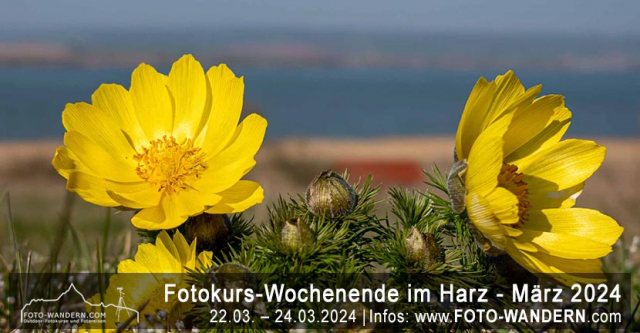 Fotoreise Harz - Frühjahr 2024